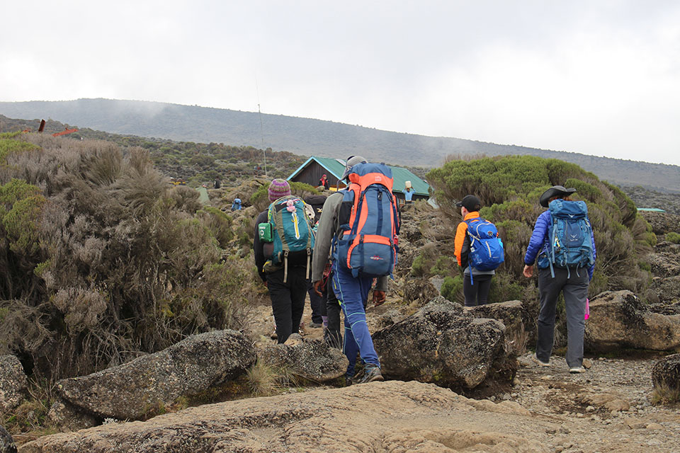 Kilimanjaro Lemosho Route 7 Days Climbing