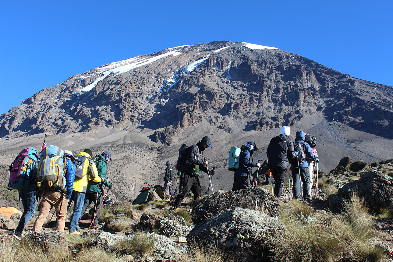 kilimanjaro Rongai Route 7 Days