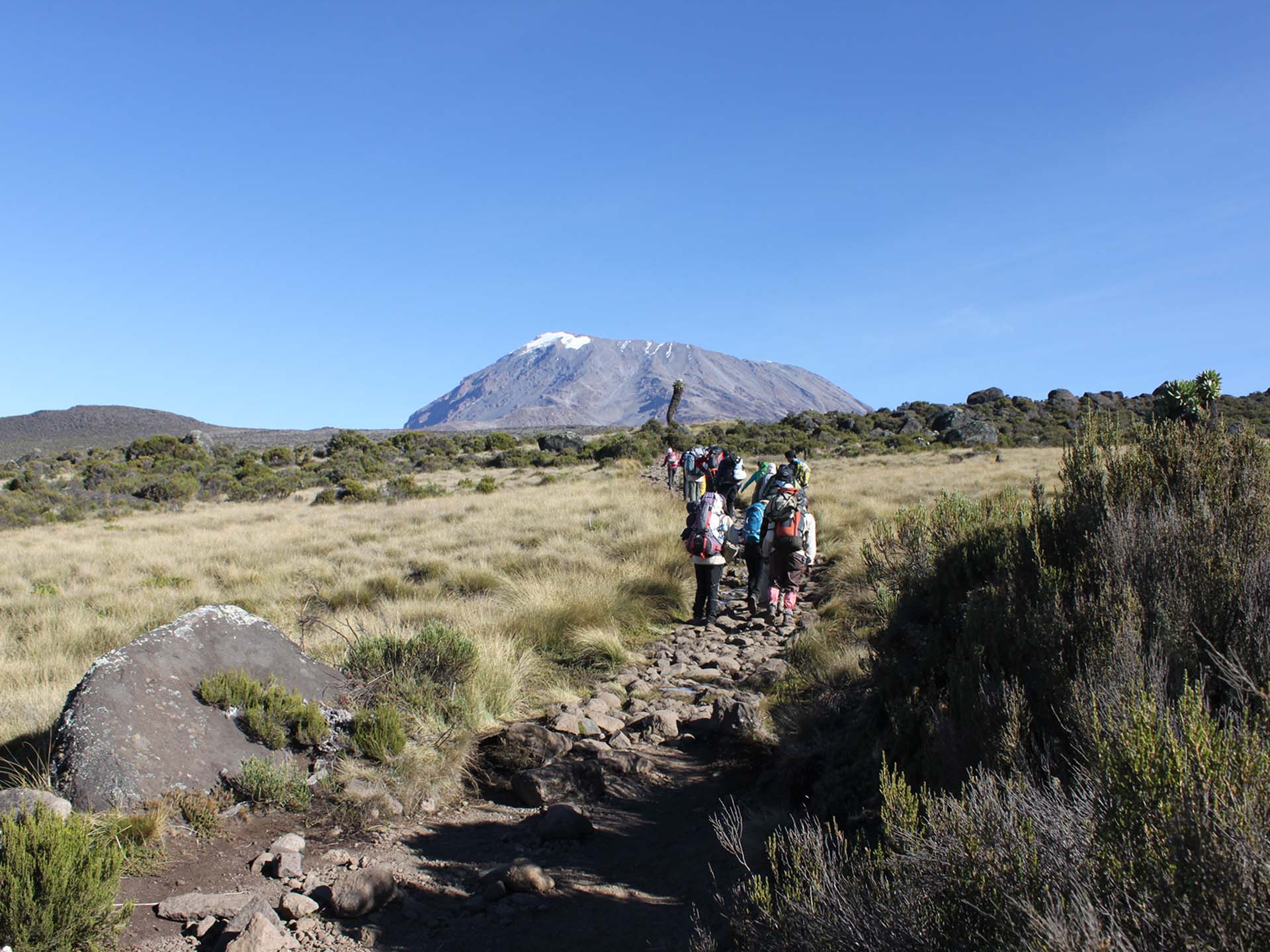 Kilimanjaro Marangu Route 5 Days Climbing